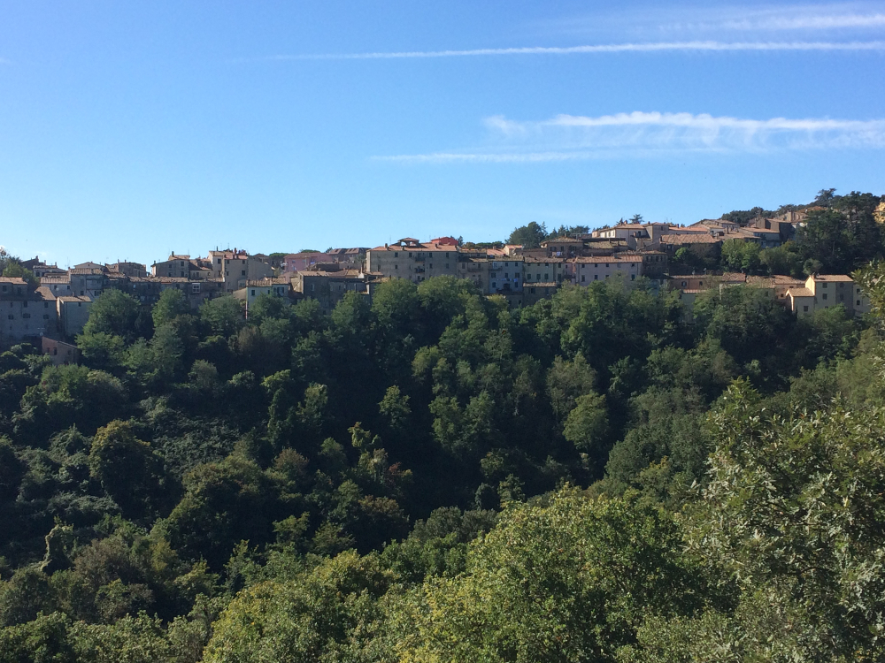 scansano toscana
